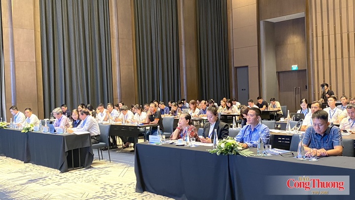 Các đại biểu tham dự hội thảo.