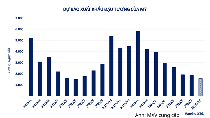 Dự báo xuất khẩu đậu tương Mỹ.