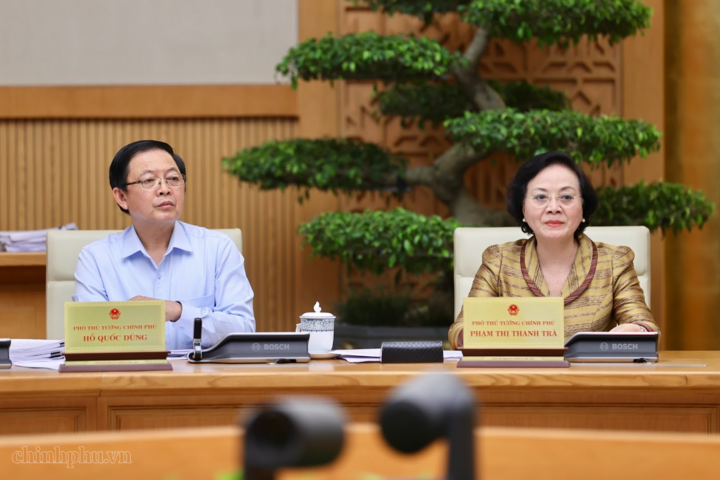 Phó Thủ tướng Phạm Thị Thanh Trà, Phó Thủ tướng Hồ Quốc Dũng tham dự Phiên họp - Ảnh: chinhphu.vn/Nhật Bắc
