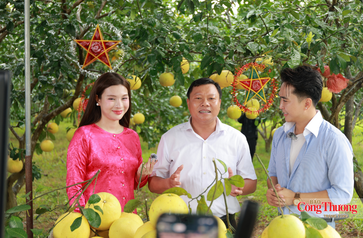 Ông Hoàng Quốc Nhã - Bí thư Đảng ủy xã Phúc Trạch cho biết cấp ủy và chính quyền đã triển khai nhiều giải pháp, đặc biệt là ứng dụng các nền tảng số để quảng bá, xúc tiến thương mại cho bưởi Phúc Trạch, sản phẩm gió trầm, trầm hương Phúc Trạch cùng các mặt hàng thế mạnh do nhân dân sản xuất. Theo ông Nhã, kênh số giúp thị trường tiêu thụ mở rộng nhanh chóng, sản lượng và lượng hàng hóa bán ra gia tăng đáng kể, ngày càng được nhiều khách hàng ưa chuộng.