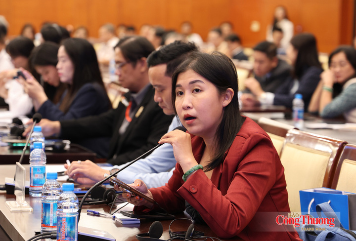 TP. Hồ Chí Minh thúc đẩy liên kết đầu tư, tạo động lực kinh tế vùng - 8
