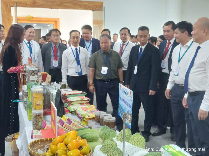 Đại biểu tham quan các gian hàng trưng bày, giới thiệu sản phẩm của các nước tại Hội nghị.