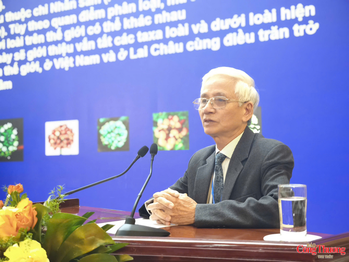 Phó giáo sư, Tiến sĩ Nguyễn Văn Tập, Ủy viên Ban Dược liệu và danh pháp Hội đồng Dược Điển và Dược Thư Việt Nam chia sẻ tại hội thảo.