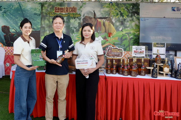 Các sản phẩm sâm Lai Châu của Công ty Cổ phần Sâm Pusilung thu hút người tiêu dùng.