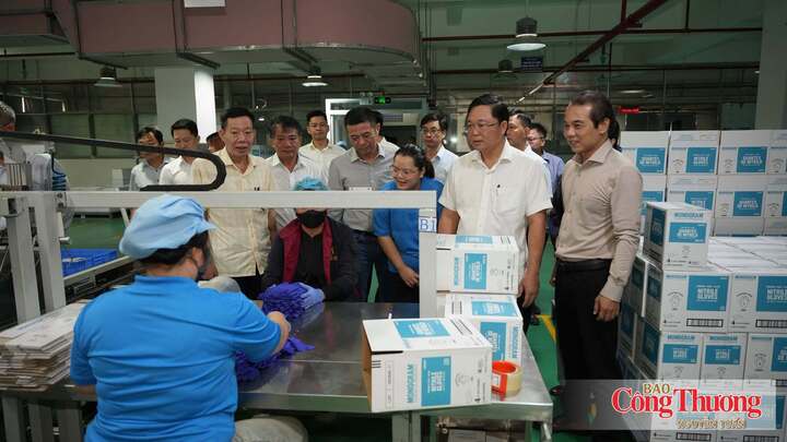 Lãnh đạo thành phố Huế cùng đại diện các Sở, ban ngành khảo sát thực địa các doanh nghiệp hoạt động trong khu công nghiệp
