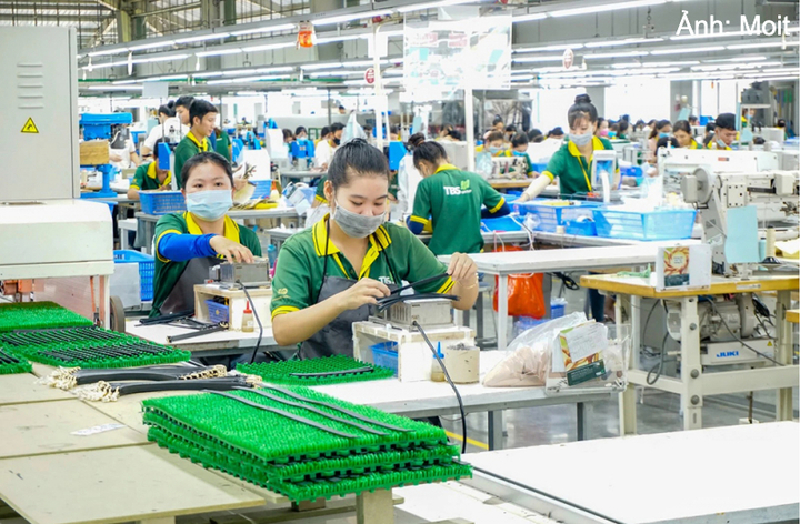 Lãnh đạo Chính phủ ban hành Quyết định hướng dẫn xác định dự án xanh, dự án đáp ứng tiêu chí tuần hoàn. Ảnh minh hoạ