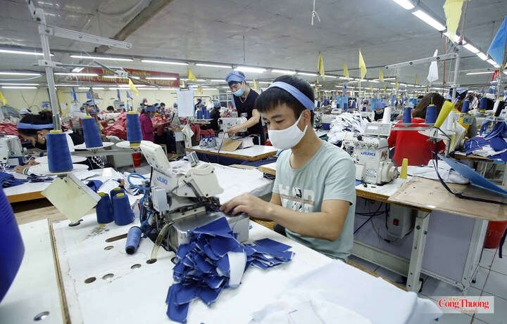 Doanh nghiệp đẩy mạnh sản xuất phục vụ nhu cầu của thị trường nội địa và xuất khẩu