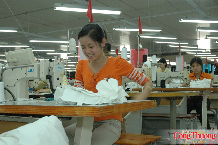 Sức ép cạnh tranh lớn, buộc doanh nghiệp dệt may phải nâng cao năng lực, giữ ổn định thị phần tại Mỹ.