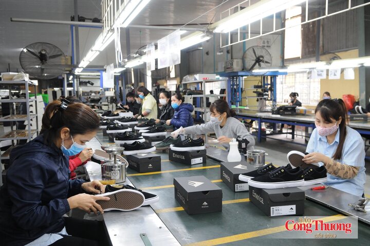 Khi lợi thế thuế quan ngày càng rõ nét, yêu cầu về năng lực đáp ứng tiêu chuẩn của thị trường cũng trở nên cấp thiết hơn