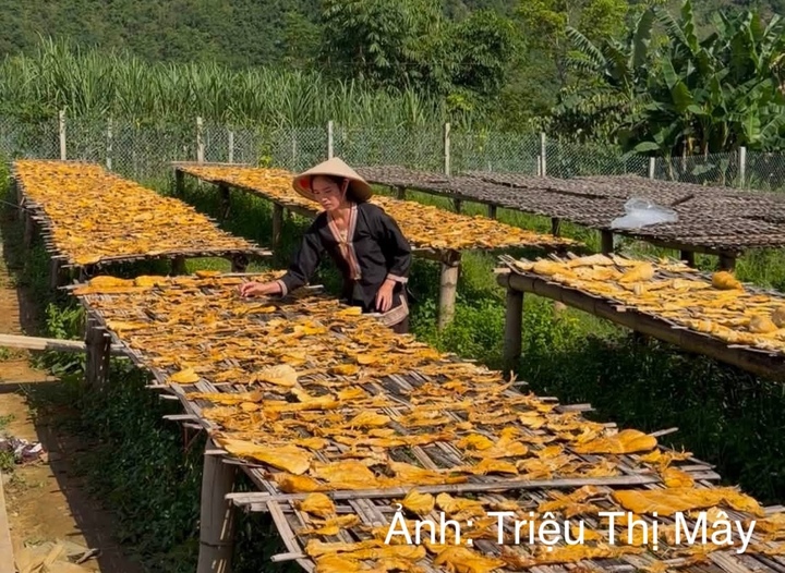 Từ những sản vật quen thuộc như măng rừng, mật ong, người dân vùng cao có thêm cơ hội tạo thu nhập khi đầu ra được mở rộng.