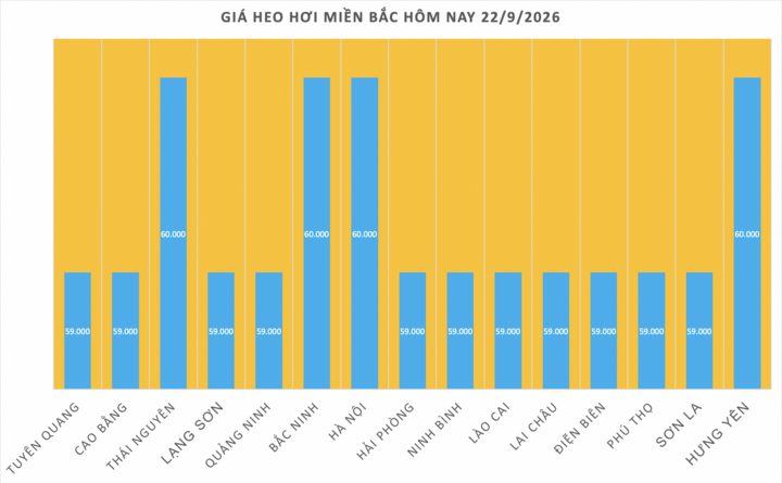 Giá heo hơi hôm nay 22/9/2026: Tăng duy nhất tại Bắc Ninh - 1