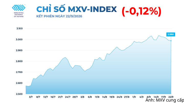 Chỉ số MXV-Index