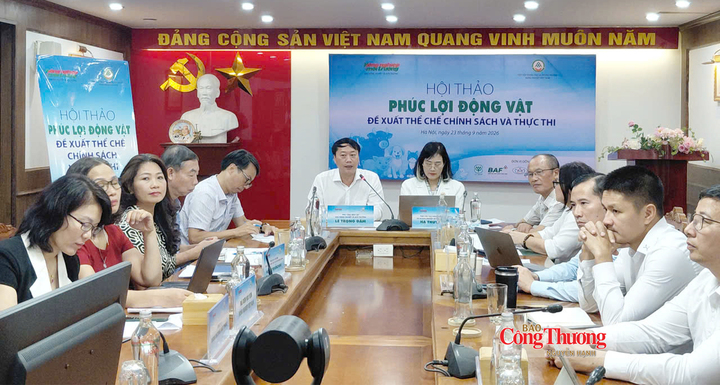 Toàn cảnh Hội thảo.