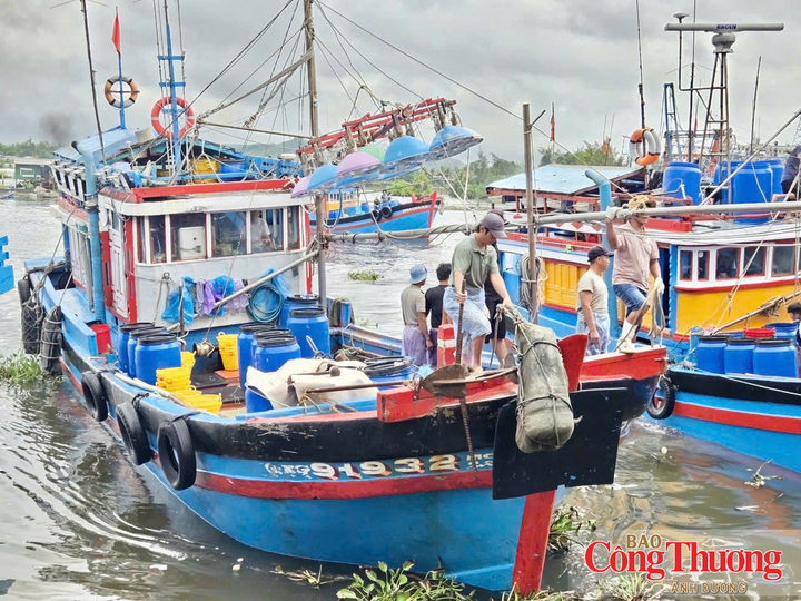 Tàu thuyền tấp nập ra vào cảng cá Tịnh Kỳ để bán cá cơm cho thương lái
