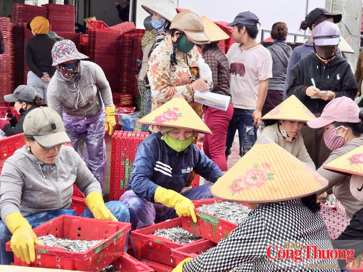 Những phụ nữ hậu cần nghề cá cũng kiếm thêm được thu nhập trong những ngày này