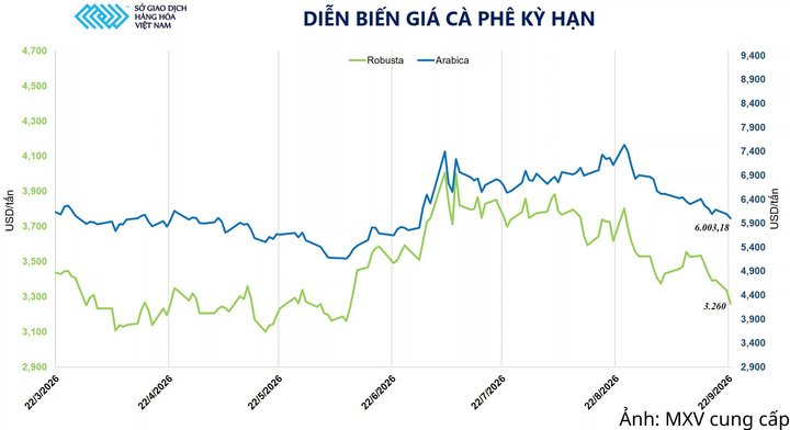 Diễn biến giá cà phê kỳ hạn