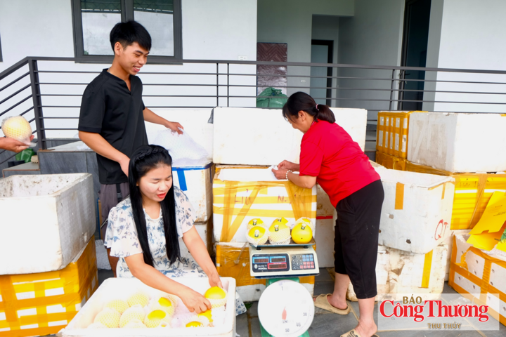 Với những quả vú sữa cỡ đặc biệt, trọng lượng có thể đạt khoảng một kg/quả, giá bán lên tới 150.000 - 180.000 đồng/kg.