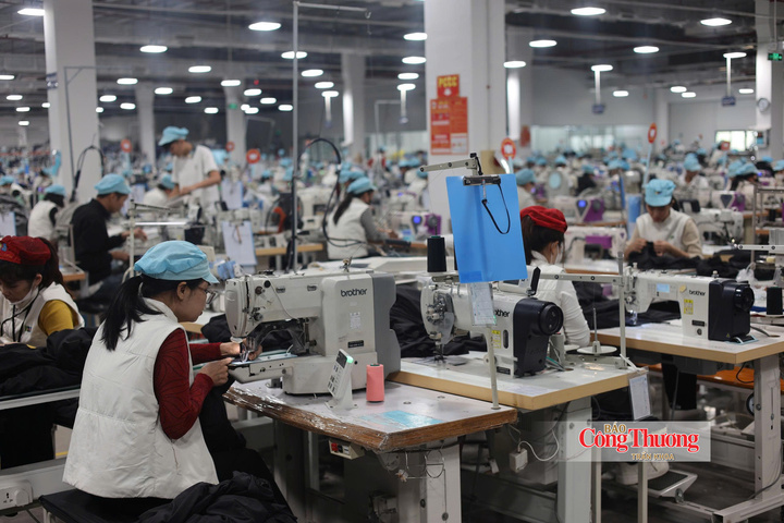 Không khí lao động khẩn trương tại nhà xưởng của Tổng Công ty May Bắc Giang LGG.