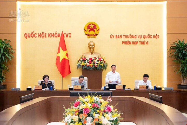 Ủy ban Thường vụ Quốc hội cho ý kiến về dự án Luật sửa đổi, bổ sung một số điều của Luật Sở hữu trí tuệ. Ảnh: Vũ Hiếu