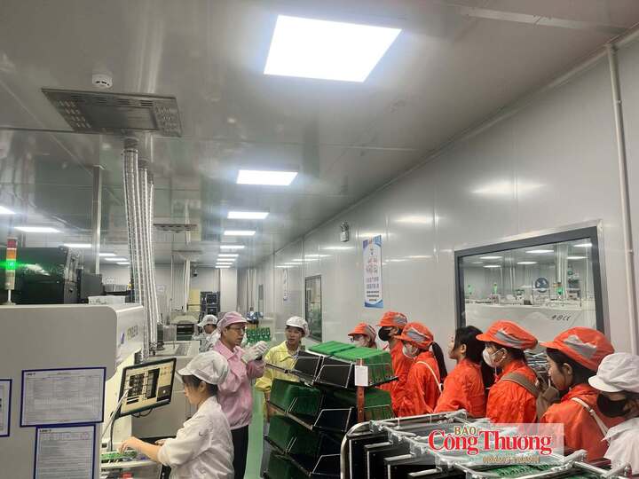 Sinh viên Trường Đại học Sao Đỏ trải nghiệm thực tế tại các nhà máy.