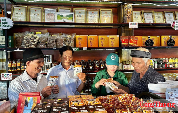 Du khách tham quan tại Cửa hàng trưng bày và giới thiệu sản phẩm OCOP Biển Hồ, thuộc Hợp tác xã Nông nghiệp liên hiệp GAUC.