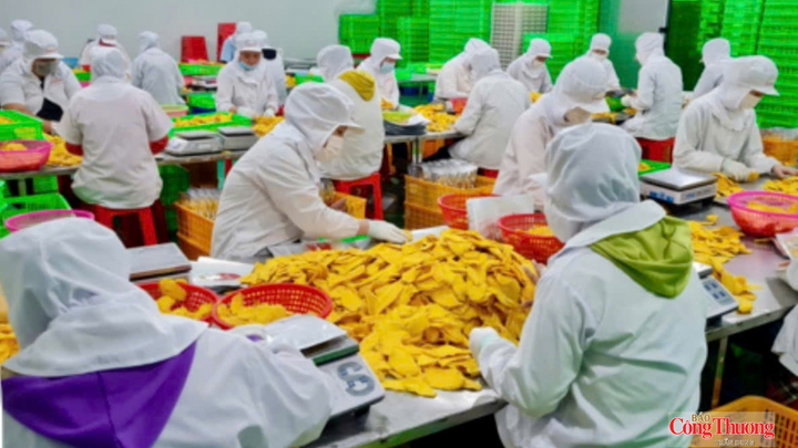 Phường Long Bình thành lập mới 11 doanh nghiệp và 107 hộ kinh doanh, vượt chỉ tiêu năm 2026.