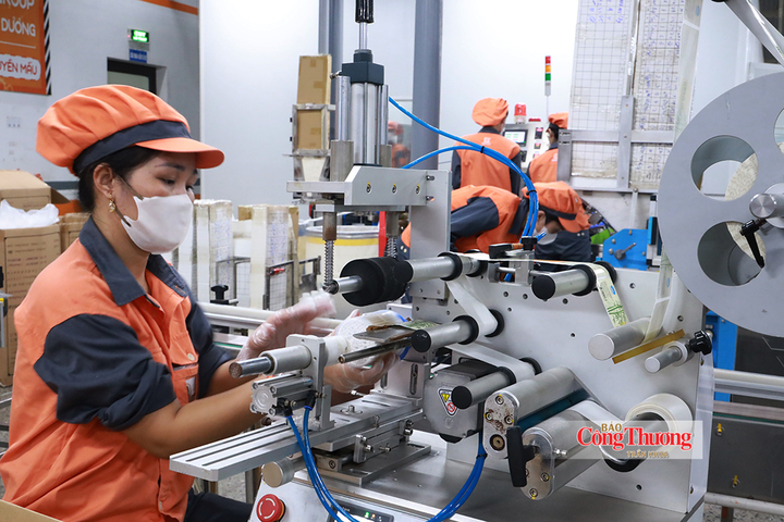 Công đoạn dán nhãn sản phẩm trên dây chuyền.