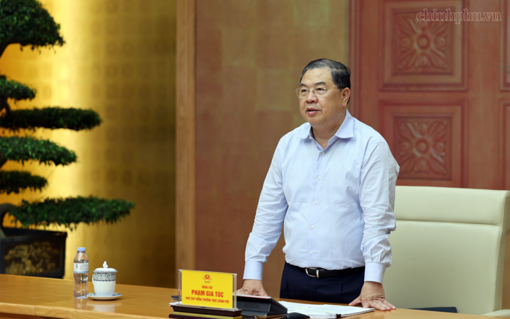 Phó Thủ tướng Thường trực Phạm Gia Túc phát biểu tại cuộc làm việc với các hiệp hội, doanh nghiệp tiêu biểu ngành hàng nông, lâm, thủy sản - Ảnh: chinhphu.vn/Phương Nguyên