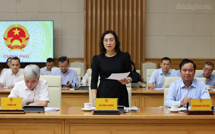 Lãnh đạo các bộ, ngành phát biểu tại cuộc làm việc - Ảnh: chinhphu.vn/Phương Nguyên