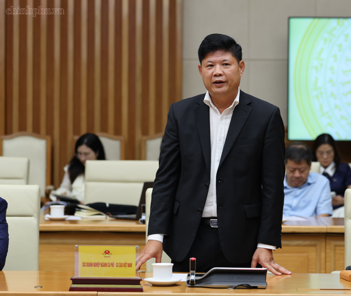 Đại diện các doanh nghiệp phát biểu tại cuộc làm việc - Ảnh: chinhphu.vn/Phương Nguyên