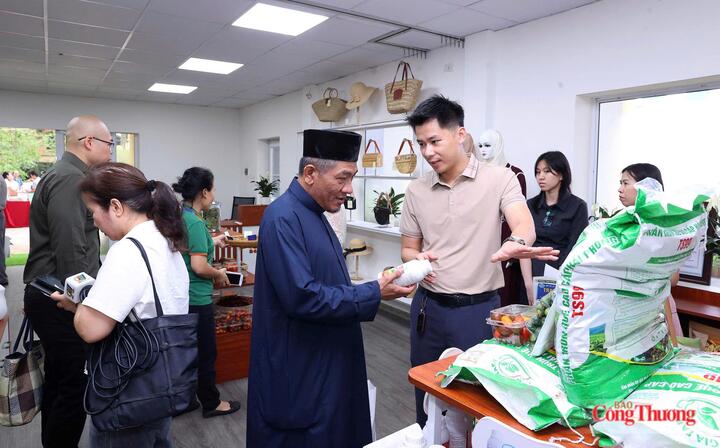 Nâng cao năng lực chế biến, chuẩn hóa sản phẩm là hướng đi giúp nông sản Việt gia tăng giá trị và khai thác tốt hơn thị trường Halal tại UAE. Ảnh: Lê An