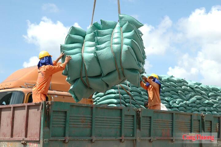 CEPA tạo thêm động lực để doanh nghiệp phát triển các sản phẩm nông sản chế biến có giá trị gia tăng cao. Ảnh: Cấn Dũng
