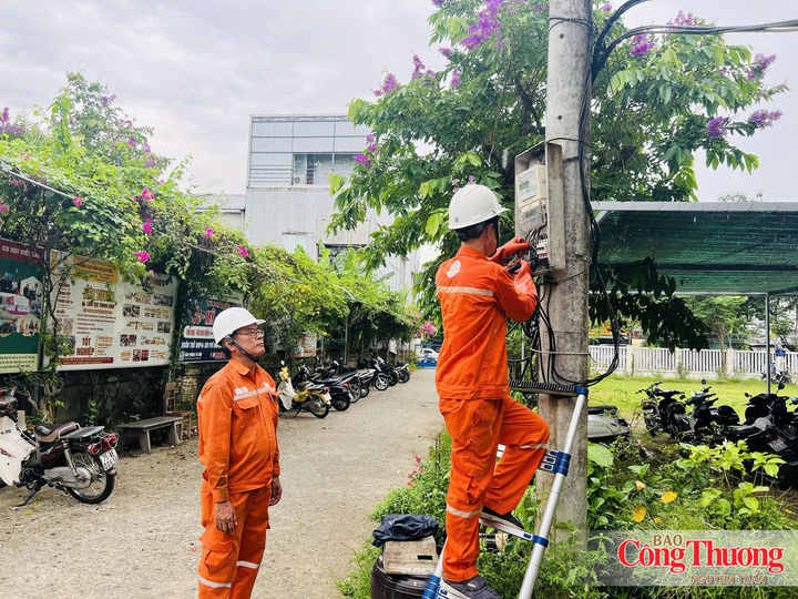 Ngành điện thành phố Huế chủ động duy tu, bão dưỡng hệ thống lưới điện trước mùa mưa bão