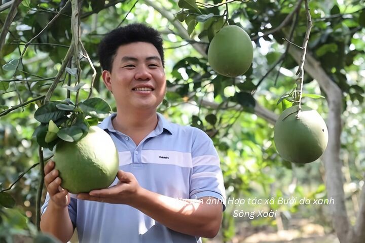 Anh Hồ Hoàng Kha, Giám đốc Hợp tác xã Bưởi da xanh Sông Xoài (TP. Hồ Chí Minh).