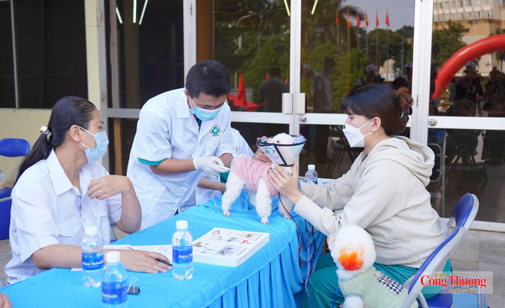 Thực hành diễn tập liên ngành phòng, chống bệnh dại trên người và động vật