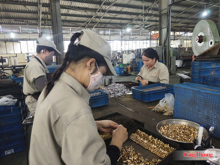 Việt Nam có đủ các thành tố cần thiết để hình thành một hệ sinh thái công nghiệp.