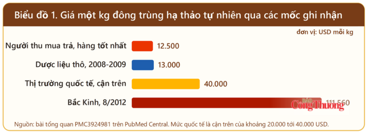 Sự thật về thị trường đông trùng hạ thảo - Kỳ 1: Lịch sử sau những lời rao 'thần dược' - 2