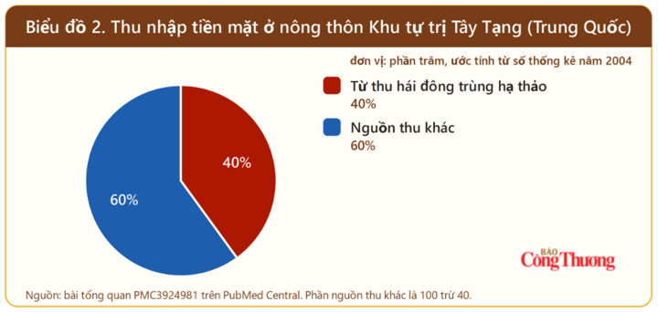Sự thật về thị trường đông trùng hạ thảo - Kỳ 1: Lịch sử sau những lời rao 'thần dược' - 3