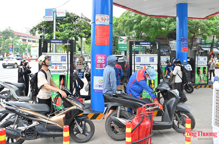 Nhiên liệu sinh học đang từng bước khẳng định vai trò trong quá trình xanh hóa năng lượng.