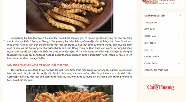 Trang naan.vn ghi vị thuốc "được con người sử dụng từ hàng ngàn năm nay"; bên phải là danh mục có mục Sản phẩm.