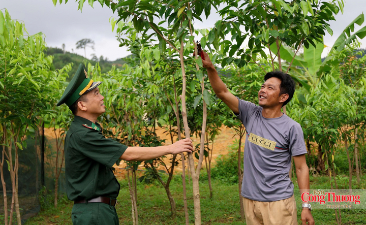 Nhiều mô hình trồng cây dó trầm được triển khai với niềm tin tạo sinh kế lâu dài cho bà con.