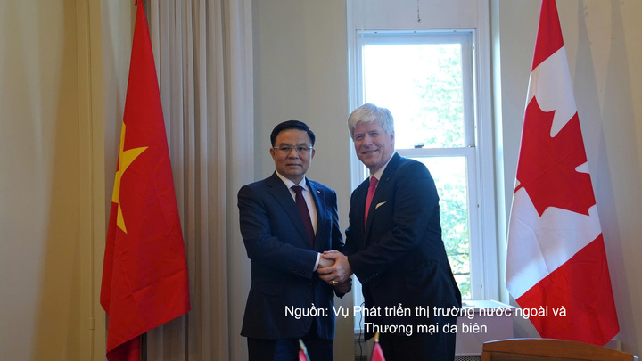 Bộ trưởng Lê Mạnh Hùng làm việc với Bộ trưởng Năng lượng và Tài nguyên thiên nhiên Canada Tim Hodgson - 2