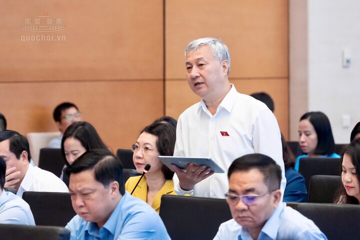 Đại biểu Trần Văn Lâm - Đoàn Đại biểu Quốc hội tỉnh Bắc Ninh phát biểu. Ảnh: Quochoi.vn