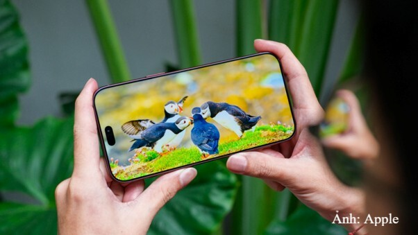 Hiển thị video với vùng khuyết nhỏ gọn hơn