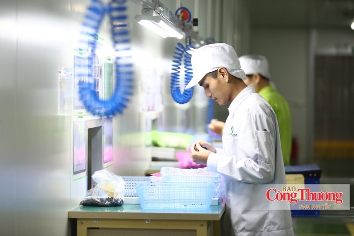 Kinh tế tư nhân Quảng Ninh tăng tốc từ những điểm nghẽn được tháo gỡ.