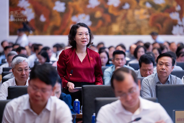 Phó Chủ nhiệm Ủy ban Pháp luật và Tư pháp Mai Thị Phương Hoa đóng góp ý kiến tại hội nghị. Ảnh: Quochoi.vn