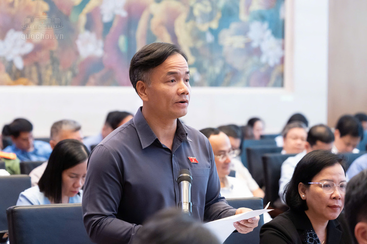 Đại biểu Trần Hoài Nam, Đoàn Đại biểu Quốc hội tỉnh Cà Mau phát biểu tại hội nghị. Ảnh: Quochoi.vn