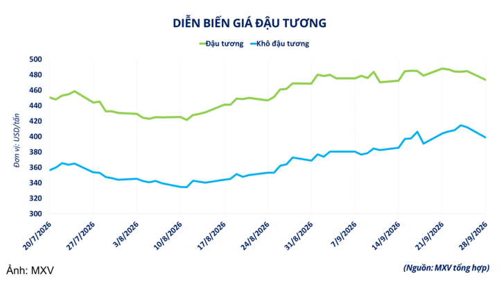 Diễn biến giá đậu tương.