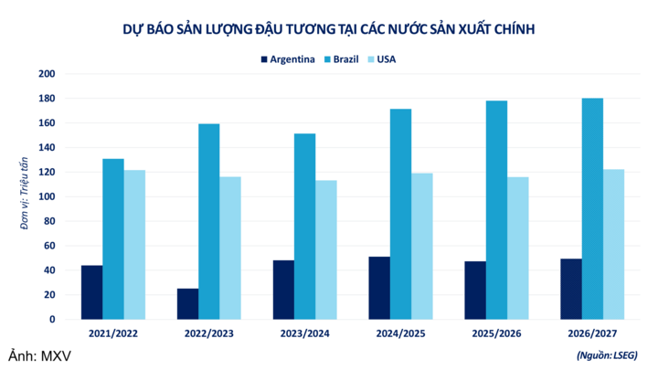 Dự báo sản lượng đậu tương tại các nước sản xuất chính.