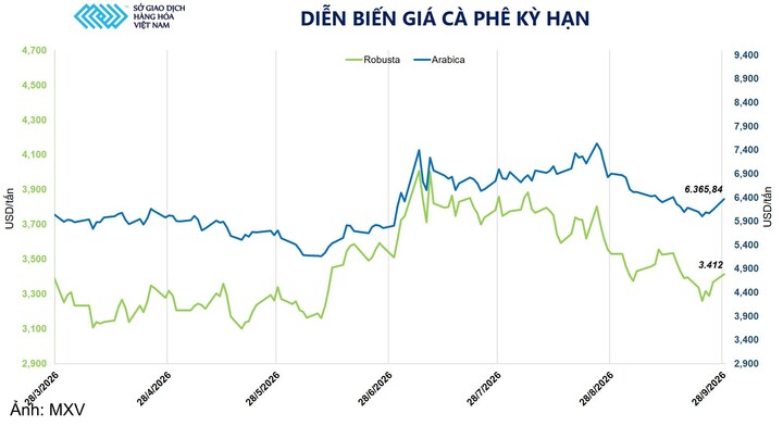 Diễn biến giá cà phê kỳ hạn.